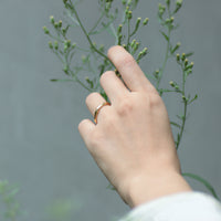 PT950 K18 モワロ3.0mm リング