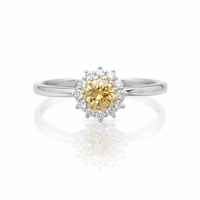 【1点物】PT900 K18 ダイヤモンド0.23ct ヘイロー リング