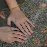 PT950 K18 バウム2.5mm リング